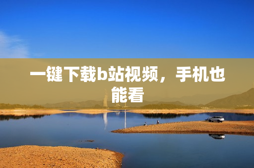 一键下载b站视频，手机也能看