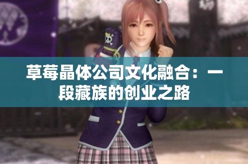 草莓晶体公司文化融合：一段藏族的创业之路