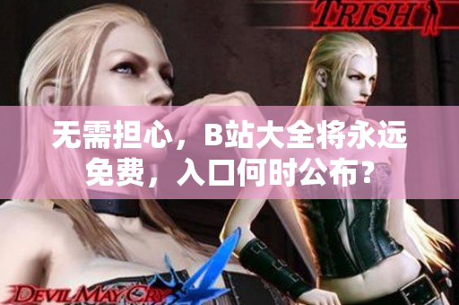无需担心，B站大全将永远免费，入口何时公布？