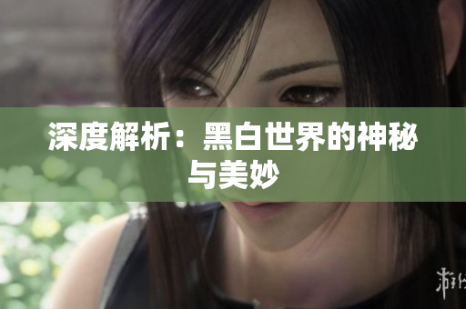深度解析：黑白世界的神秘与美妙