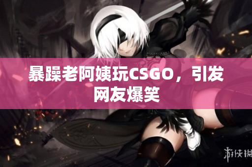 暴躁老阿姨玩CSGO，引发网友爆笑