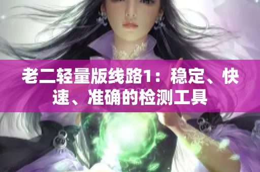 老二轻量版线路1：稳定、快速、准确的检测工具