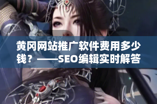 黄冈网站推广软件费用多少钱？——SEO编辑实时解答