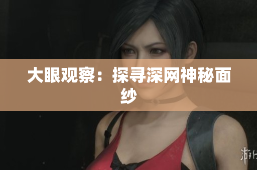 大眼观察：探寻深网神秘面纱