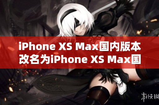 iPhone XS Max国内版本改名为iPhone XS Max国行版