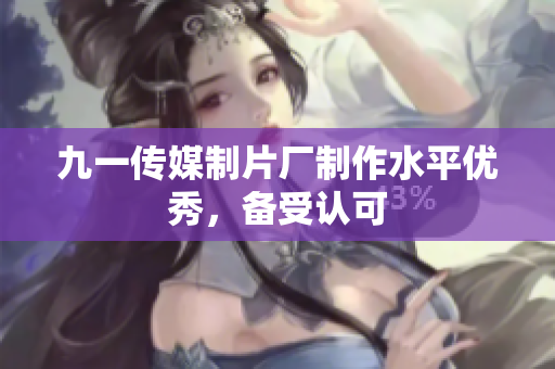 九一传媒制片厂制作水平优秀，备受认可