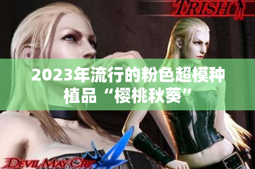 2023年流行的粉色超模种植品“樱桃秋葵”