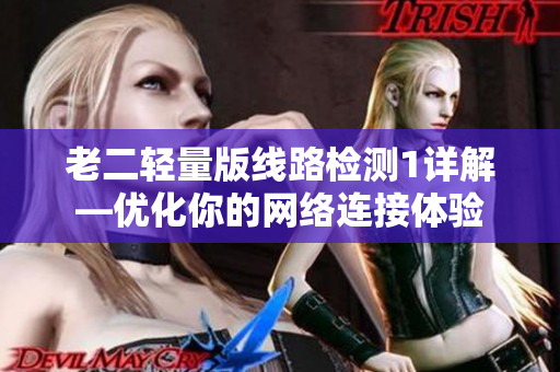 老二轻量版线路检测1详解—优化你的网络连接体验