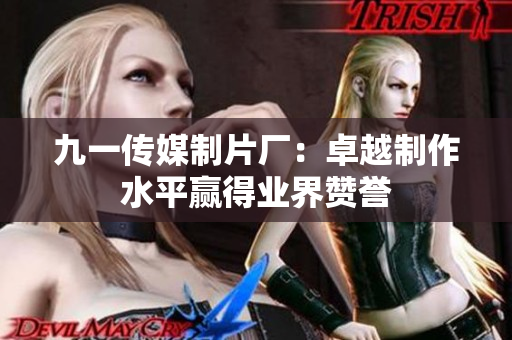 九一传媒制片厂：卓越制作水平赢得业界赞誉