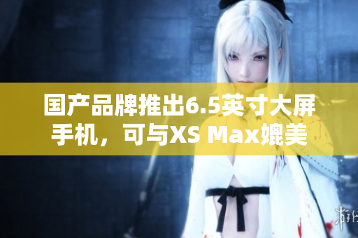 国产品牌推出6.5英寸大屏手机，可与XS Max媲美