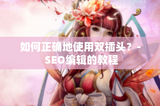 如何正确地使用双插头？- SEO编辑的教程