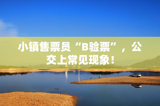 小镇售票员“B验票”，公交上常见现象！