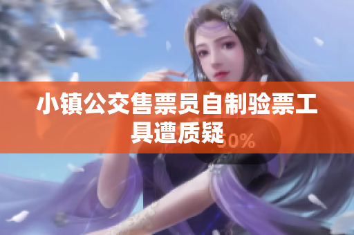 小镇公交售票员自制验票工具遭质疑