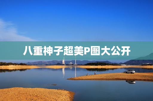 八重神子超美P图大公开