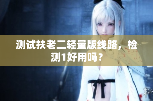 测试扶老二轻量版线路，检测1好用吗？