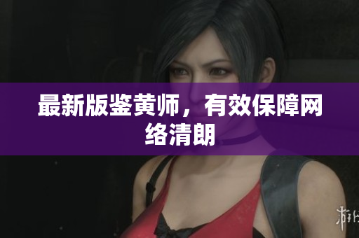 最新版鉴黄师，有效保障网络清朗