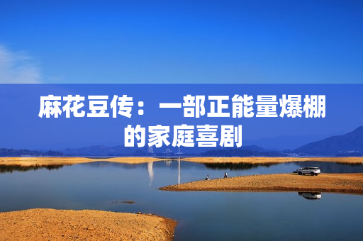 麻花豆传：一部正能量爆棚的家庭喜剧