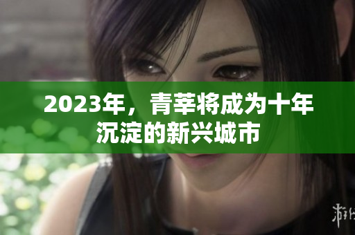 2023年，青莘将成为十年沉淀的新兴城市
