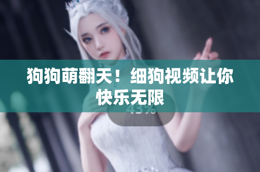 狗狗萌翻天！细狗视频让你快乐无限