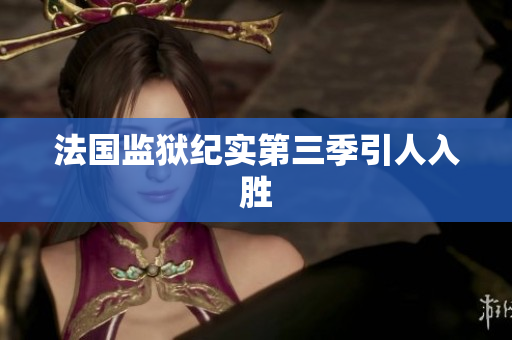 法国监狱纪实第三季引人入胜