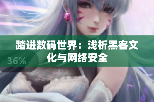 踏进数码世界：浅析黑客文化与网络安全