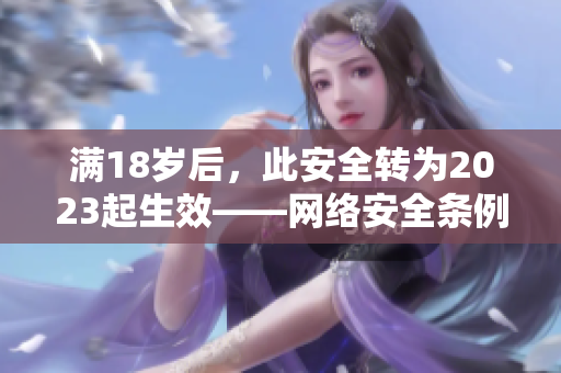 满18岁后，此安全转为2023起生效——网络安全条例更新告示