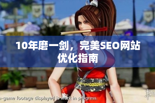 10年磨一剑，完美SEO网站优化指南