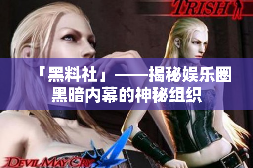 「黑料社」——揭秘娱乐圈黑暗内幕的神秘组织