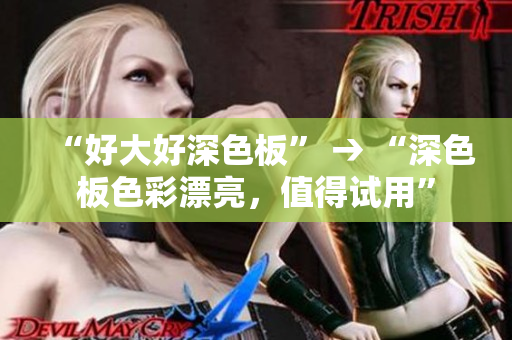 “好大好深色板” → “深色板色彩漂亮，值得试用”