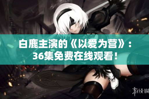 白鹿主演的《以爱为营》：36集免费在线观看！