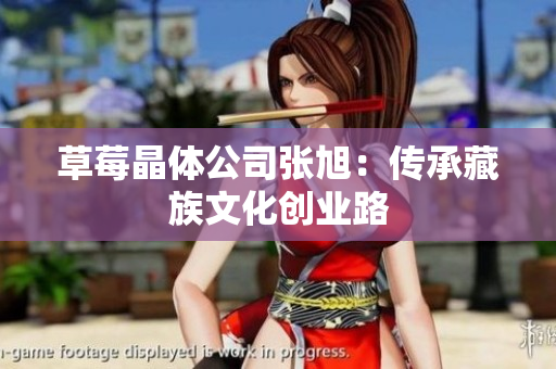 草莓晶体公司张旭：传承藏族文化创业路