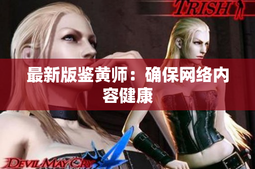 最新版鉴黄师：确保网络内容健康