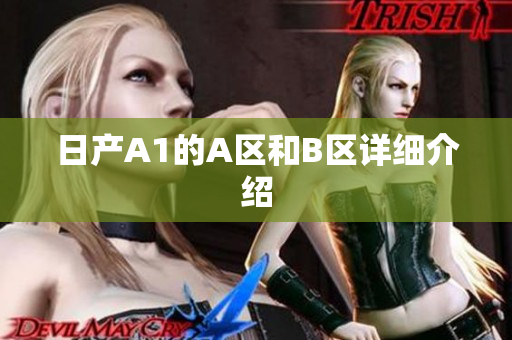 日产A1的A区和B区详细介绍