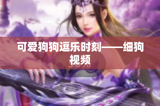 可爱狗狗逗乐时刻——细狗视频