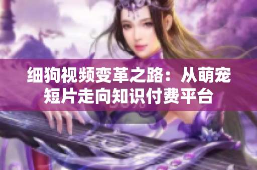 细狗视频变革之路：从萌宠短片走向知识付费平台