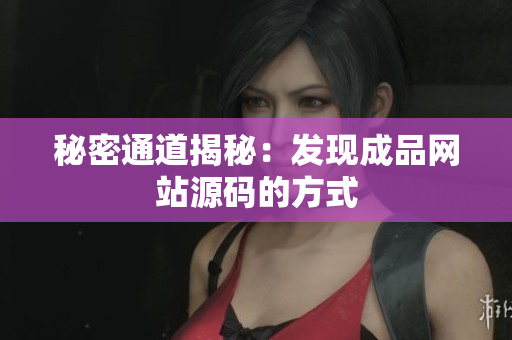 秘密通道揭秘：发现成品网站源码的方式