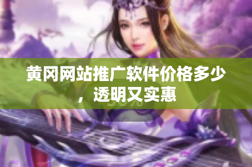 黄冈网站推广软件价格多少，透明又实惠