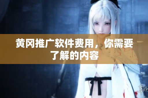 黄冈推广软件费用，你需要了解的内容
