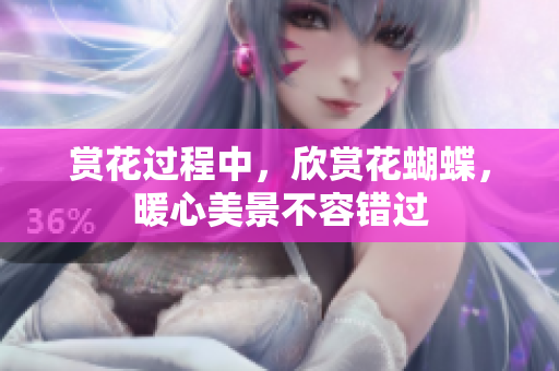 赏花过程中，欣赏花蝴蝶，暖心美景不容错过