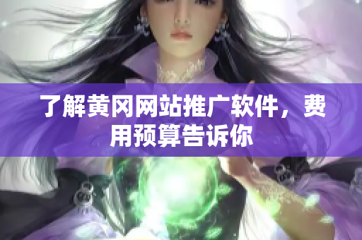 了解黄冈网站推广软件，费用预算告诉你