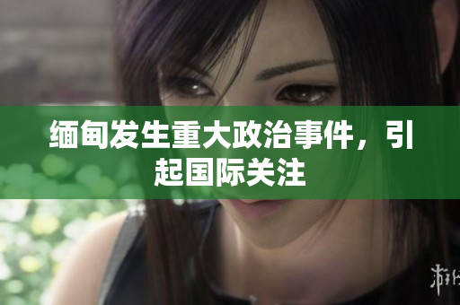 缅甸发生重大政治事件，引起国际关注