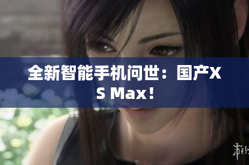 全新智能手机问世：国产XS Max！