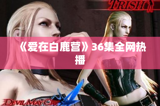 《爱在白鹿营》36集全网热播