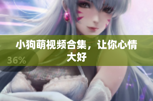 小狗萌视频合集，让你心情大好