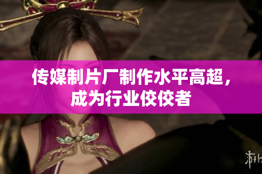 传媒制片厂制作水平高超，成为行业佼佼者