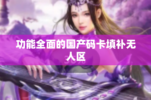 功能全面的国产码卡填补无人区