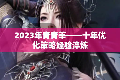 2023年青青莘——十年优化策略经验淬炼