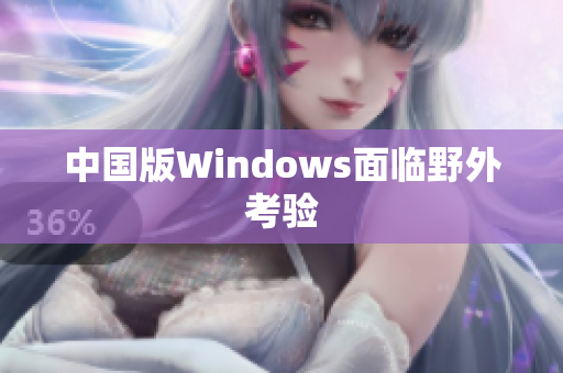 中国版Windows面临野外考验