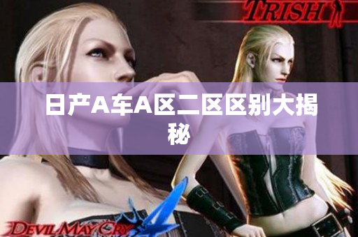 日产A车A区二区区别大揭秘