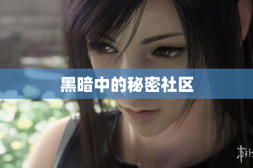 黑暗中的秘密社区